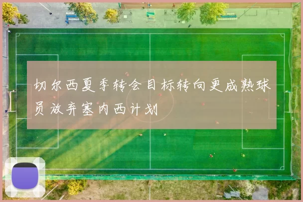 切尔西夏季转会目标转向更成熟球员放弃塞内西计划